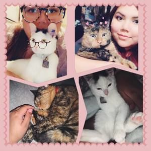 Meet your Posher, Kristin